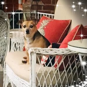 Meet your Posher, Tracey